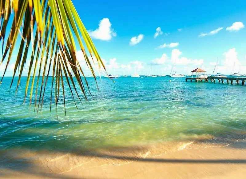 Villa Nouha location